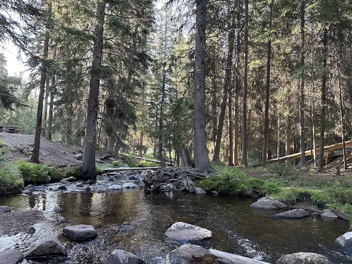 Grasshopper Campground and Picnic Area Picture 1