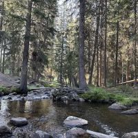 Grasshopper Campground and Picnic Area ico