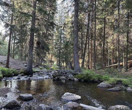 Grasshopper Campground and Picnic Area