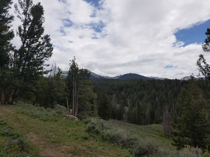 Grasshopper Campground and Picnic Area Picture 9