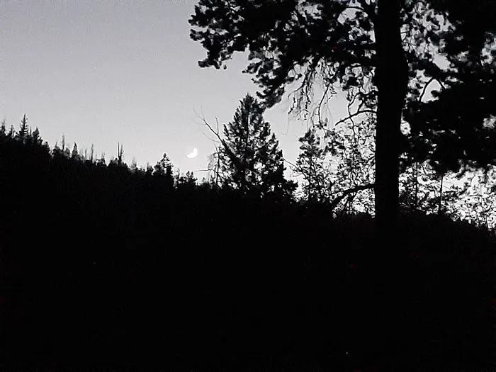 Grasshopper Campground and Picnic Area Picture 8