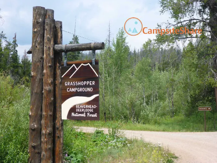 Grasshopper Campground and Picnic Area Picture 6