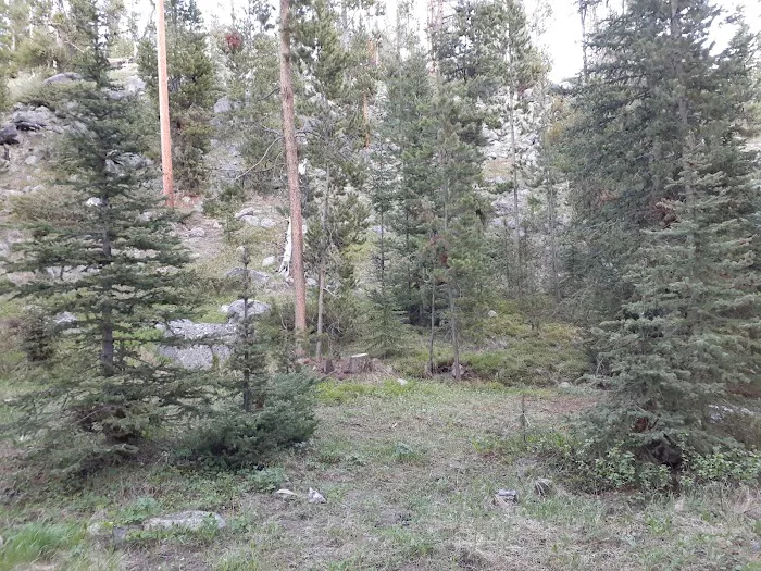 Grasshopper Campground and Picnic Area Picture 10