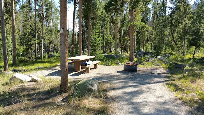Grasshopper Campground and Picnic Area Picture 2