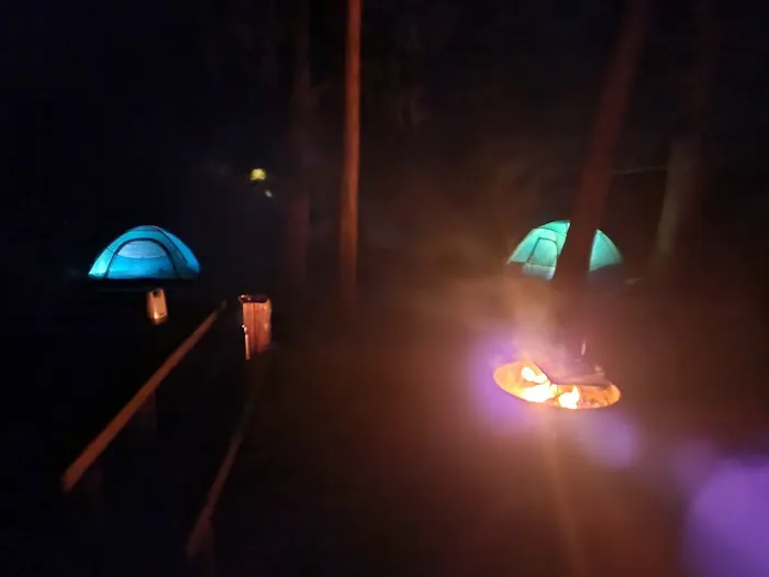 Grasshopper Campground and Picnic Area Picture 7