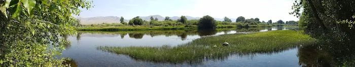 Maiden Rock Campground Picture 3