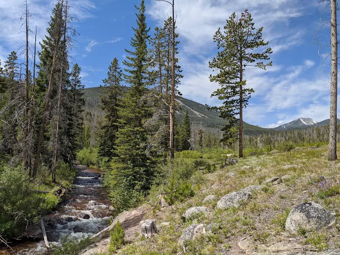 Dinner Campground Picture 3