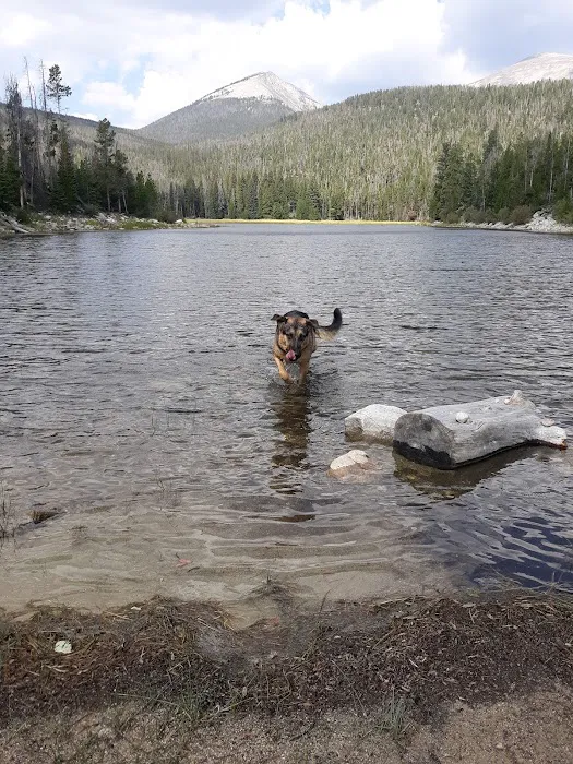 Dinner Campground Picture 4