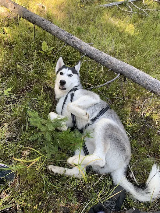 Kading Campground Picture 1