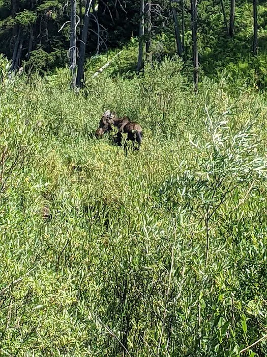 Kading Campground Picture 6