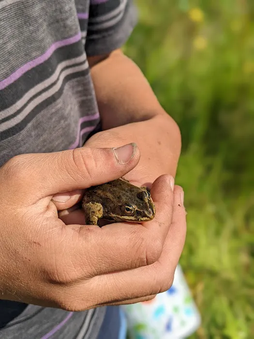 Kading Campground Picture 3