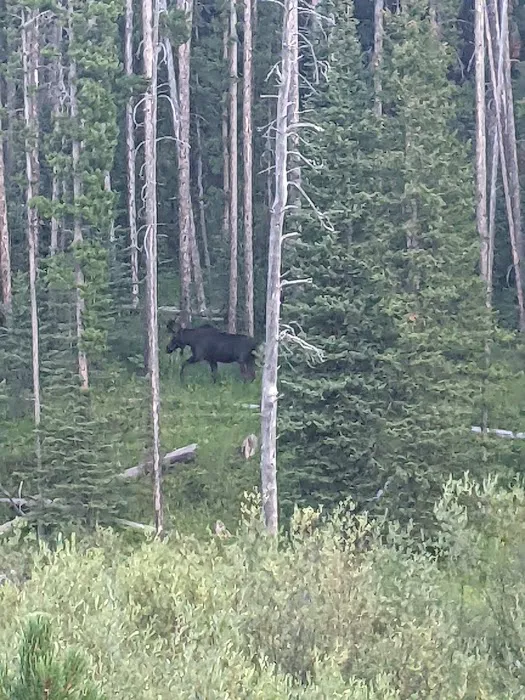 Kading Campground Picture 5