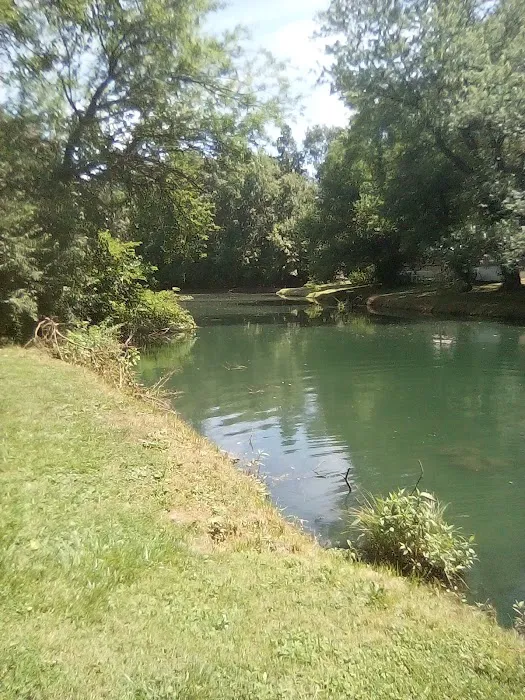 Amelia Estates Picture 2