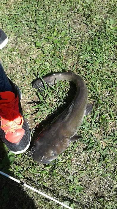 Amelia Estates Picture 7