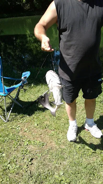 Amelia Estates Picture 4