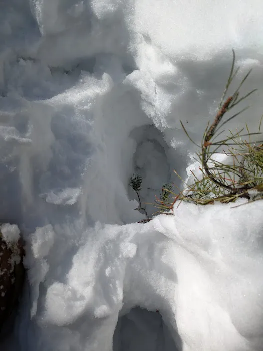 Whitehouse Campground Picture 3