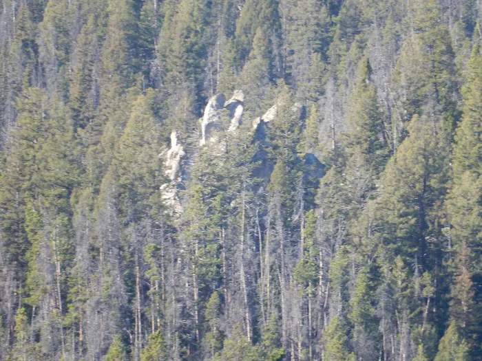 Whitehouse Campground Picture 1