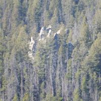 Whitehouse Campground ico