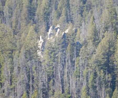 Whitehouse Campground