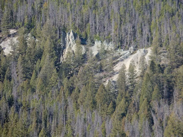 Whitehouse Campground Picture 2