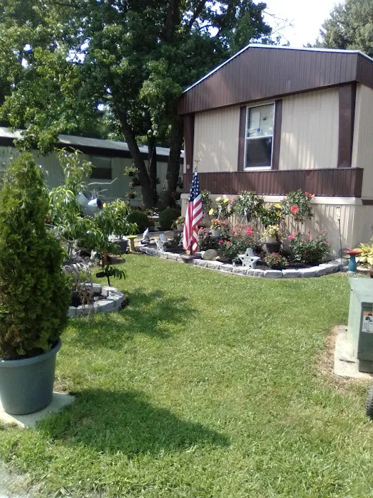 Tall Timbers Picture 5