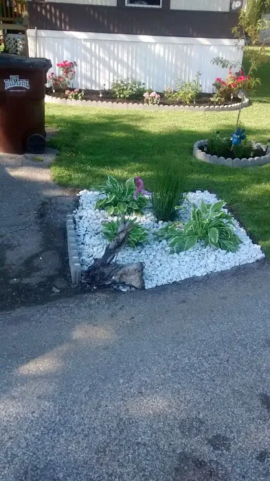 Tall Timbers Picture 4