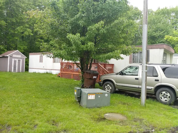 Tall Timbers Picture 7