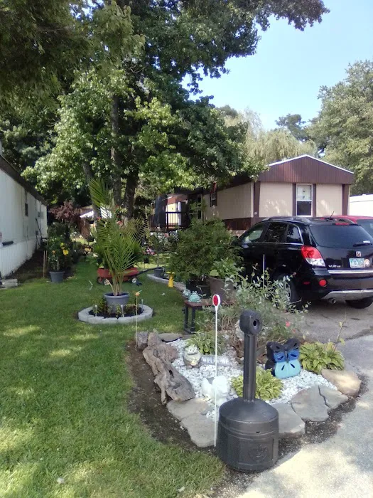 Tall Timbers Picture 3