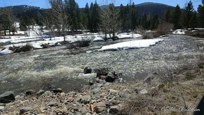 Sunshine Camp Picture 2