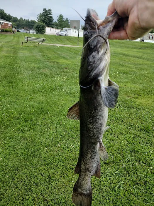 Lakeside Estates Picture 6