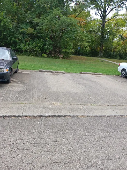 Tradewinds Mobile Home Park Picture 2