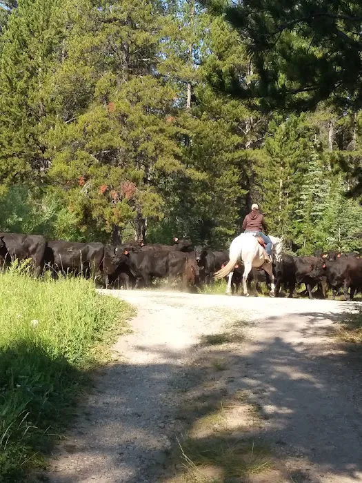 Miner Lake Campground Picture 9