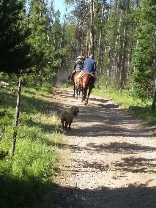 Miner Lake Campground Picture 10
