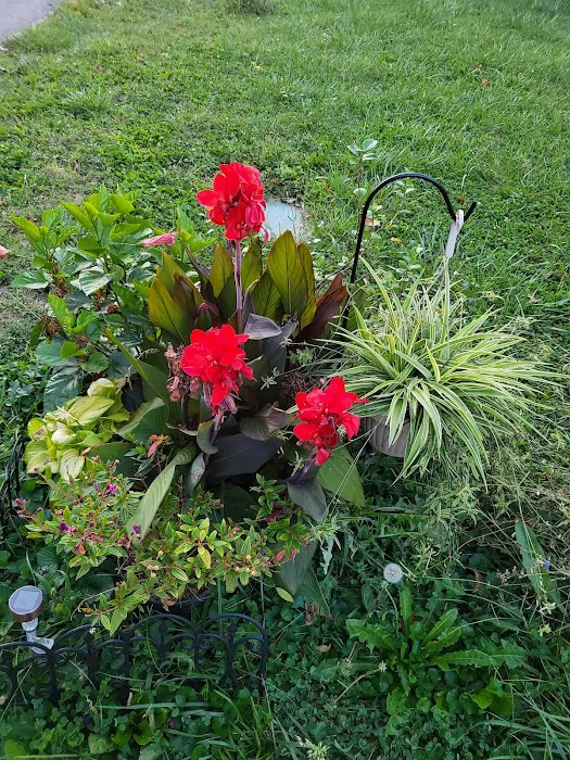 Eastgate Mobile Home Park Picture 2