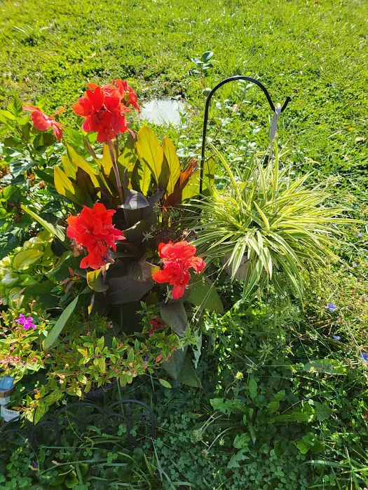 Eastgate Mobile Home Park Picture 4