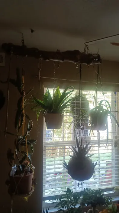 Campbell Pointe Mobile Home Park Picture 3