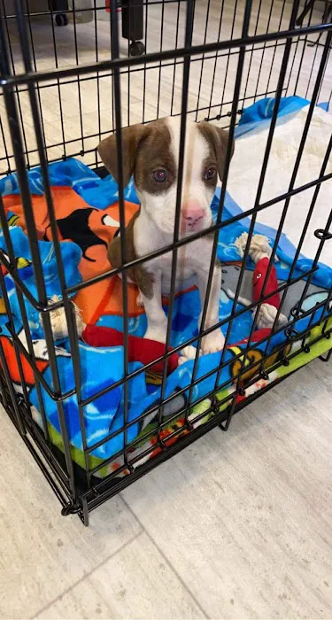 Campbell Pointe Mobile Home Park Picture 5