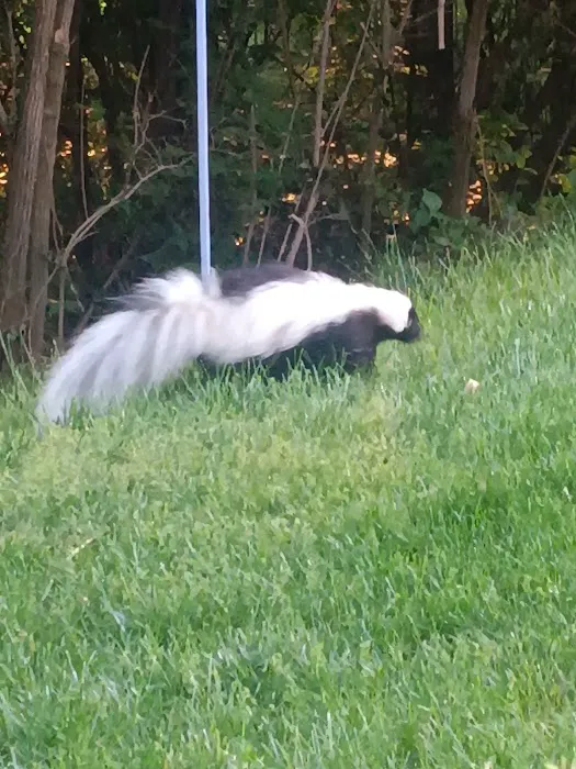 Campbell Pointe Mobile Home Park Picture 2