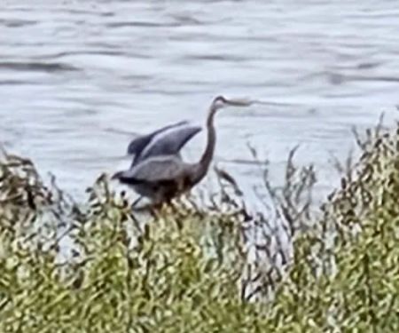 Andreas On The River RV Park