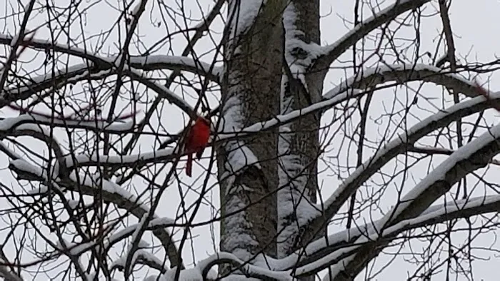 Derby Hills Pointe Mobile Home Park Picture 3