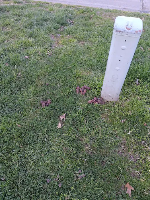 Derby Hills Pointe Mobile Home Park Picture 4