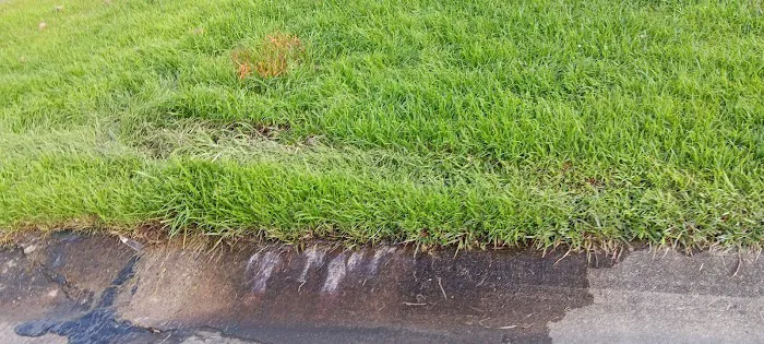 Derby Hills Pointe Mobile Home Park Picture 8