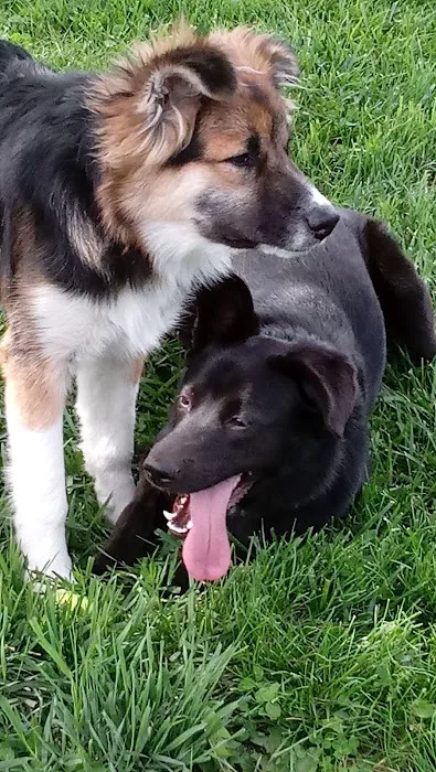 Shawnee Plains Mobile Home Parks Picture 10