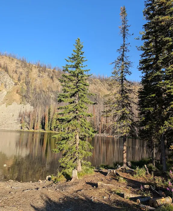 Wallace Lake Campground Picture 3