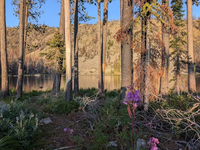 Wallace Lake Campground Picture 4