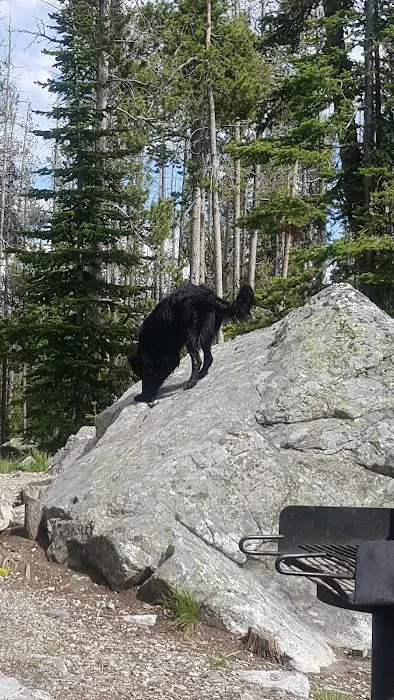 Wallace Lake Campground Picture 10