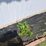 Holiday Estates Mobile Home Community