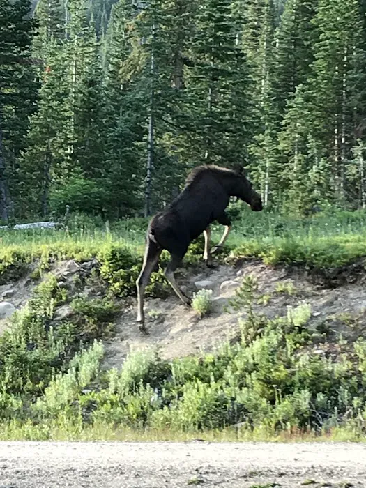 Crags Campground Complex Picture 5