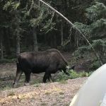 Crags Campground Complex