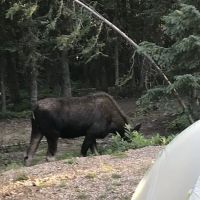 Crags Campground Complex ico